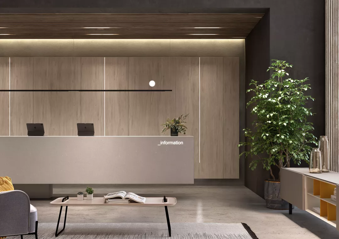 Imagen de recepción